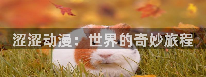 风车动漫火影忍者：涩涩动漫：世界的奇妙旅程