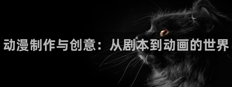 女子曲球风车动漫：动漫制作与创意：从剧本到动画的世界