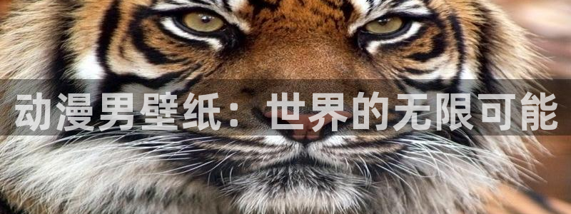 风车动漫2：动漫男壁纸：世界的无限可能