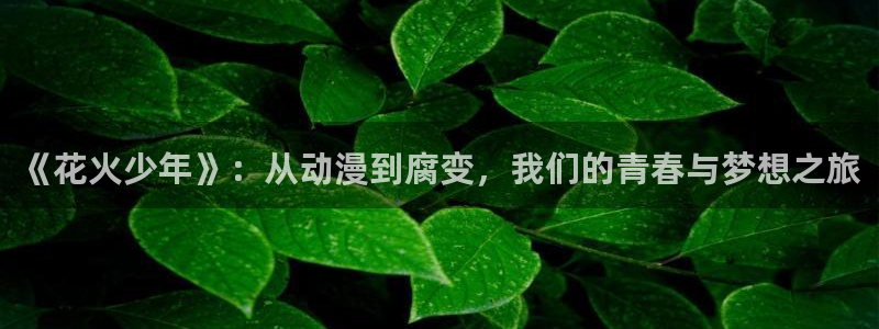 风车动漫漫画：《花火少年》：从动漫到腐变，我们的青春与梦想之旅