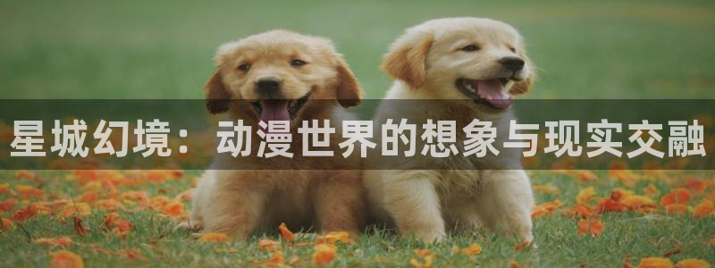 风车动漫最新网址：星城幻境：动漫世界的想象与现实交融