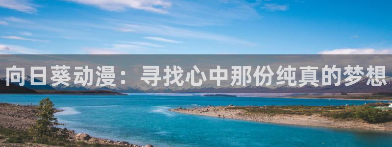 新风车动漫dm530：向日葵动漫：寻找心中那份纯真的梦想
